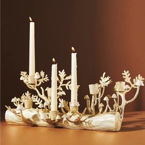 **ISO** Anthropologie Arden Candelabras